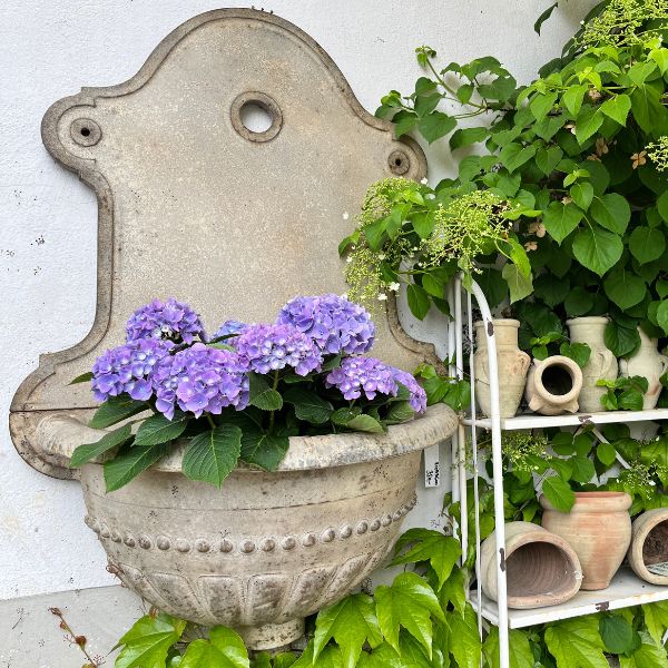 Garten2026(7).jpg